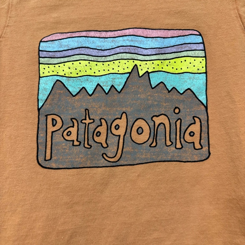 Unisex Patagonia Logo Fitz Roy Skies T-shirt - Picture 2 of 3